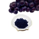 Organic Fertilizer Granules with 8% Humic Acid for All Soil Types