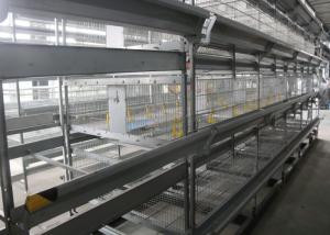 China H Type Baby Chick Cage Commercial Poultry Farm Cage Easy To Installation wholesale