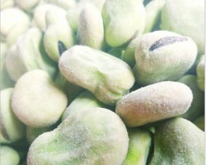 China High Protein Fresh frozen Broad Beans Natural Green Foods For Supermarket wholesale