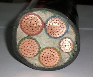 240 mm2 Custom PVC Insulated Pvc Sheathed Cable , Multicore Power Cable