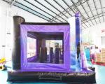 Outdoor Panther Jumping Castle Inflatable Bounce Houses