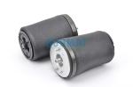 1 Pair Rear 5 Series E39 BMW Air Suspension Parts 37121094613 / 37121094614