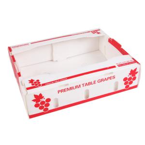 China Anticorrosive Corrugated Plastic Packing Box Vegetable Fruit Coroplast Shipping Boxes wholesale