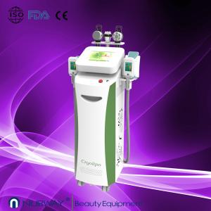 China cryolipolysis machine two handles wholesale
