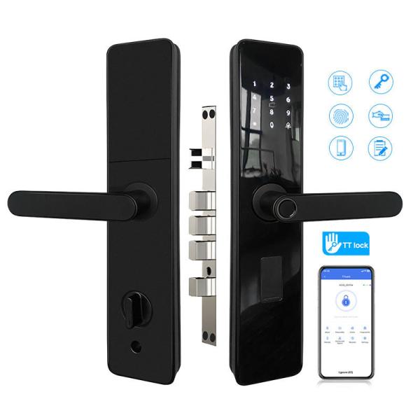 High Security Smart Fingerprint Door Lock Intelligent Magnetic Swipe Access