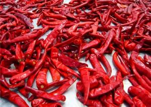 China Sanying Dehydrating Hot Peppers Mala Dried Whole Chillies KOSHER wholesale