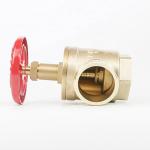 J&M Fire Truck Parts 1 1/2" And 2 1/2" Varieties Natural Or Chrome Plated