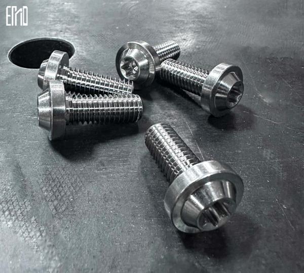 INCA Titanium Alloy Screws Ten Pieces MOC For Breakout / Softail Series（For Rear