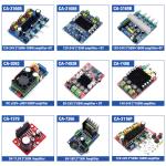 CA-7498 2*100W Dual Channel Power Amplifier Board for Home Stereo TDA7498 Audio