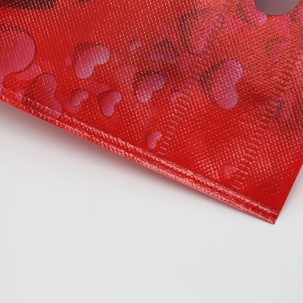 factory supply with lamination wedding foldable d-cut non woven gift bag