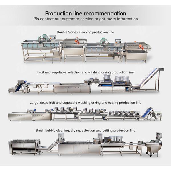 240KG 380V Automatic stainless steel fruit washing machine fruit cleaning equipment
