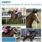 Portable High-Performance Radiofrequency Tecar Therapy Machine for Horse Sports