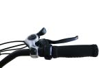 26 Inch 500W 48V Beach Cruiser Electric Bike With Double Disk Brakes And LCD