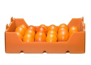 China PPP Solution Fruit 4mm Fluted Pp Packaging Box wholesale
