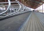 Hot Dip Galvanized Cattle Stall With Bovine Jugular Track , Clamp , Bolt