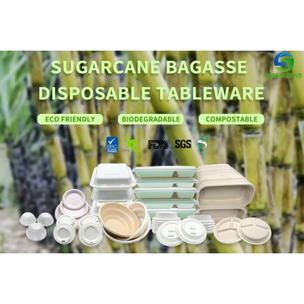 Compostable Sugarcane Bagasse Pulp Disposable Coffee Cup Lids