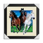 0.6mm Pet 5d Lenticular Animal Picture With 40*40cm For Wall Hanging / Home