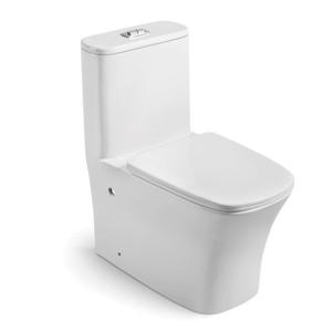 China Modern White Ceramic One Piece Toilet Floor Mounted P Trap S Trap Dual Flush Elongated wholesale