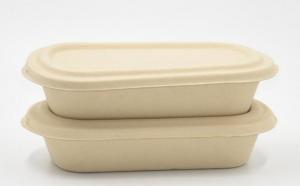 China 1000ml Biodegradable Straw pulp food container 2 compartments paper food tray with PP lid wholesale