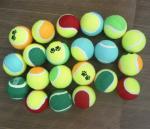 dog chew toy