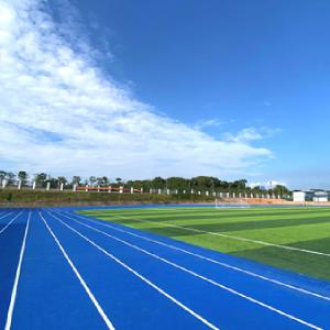 China Red and Blue Sports Track Rubber Interlocking Running Track wholesale