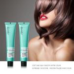 Low Ammonia Change Hair Color Hair Dye Paste for Vibrant and Customized Shades