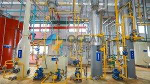 China Low Temperature Cold Pressing Equipment Peanut Oil Seeds Processing wholesale