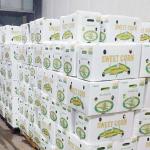 Chemical Resistant Coroplast Printing Box For Industrial And Sweet Corn Box