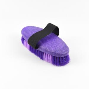 China Plastic 6.75'' horse body brush with easy-grip strap horse grooming brush on sale
