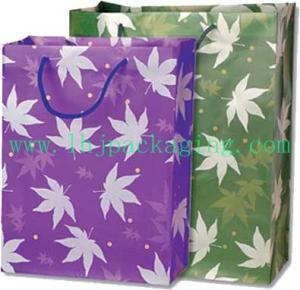 China jewelry Paper bag, gift paper bag ,shopping paper bag wholesale