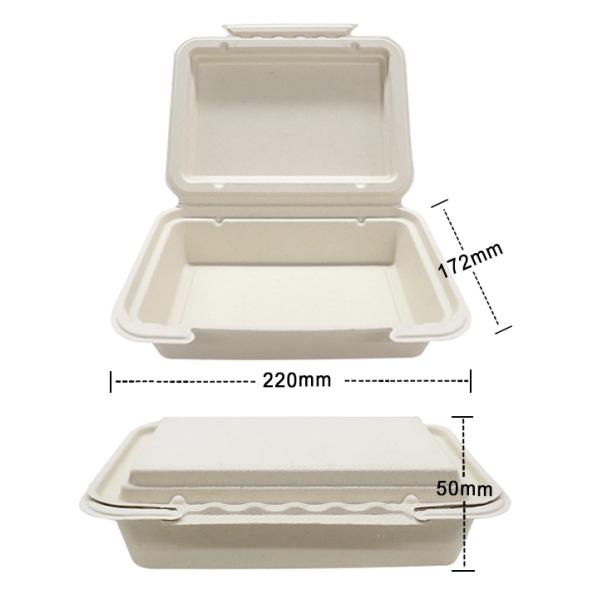 9"×6”825ml Pulp Biodegradable Takeout Containers