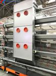 Fully Automated Broiler Chicken Cage System For Philippines Poultry Farming