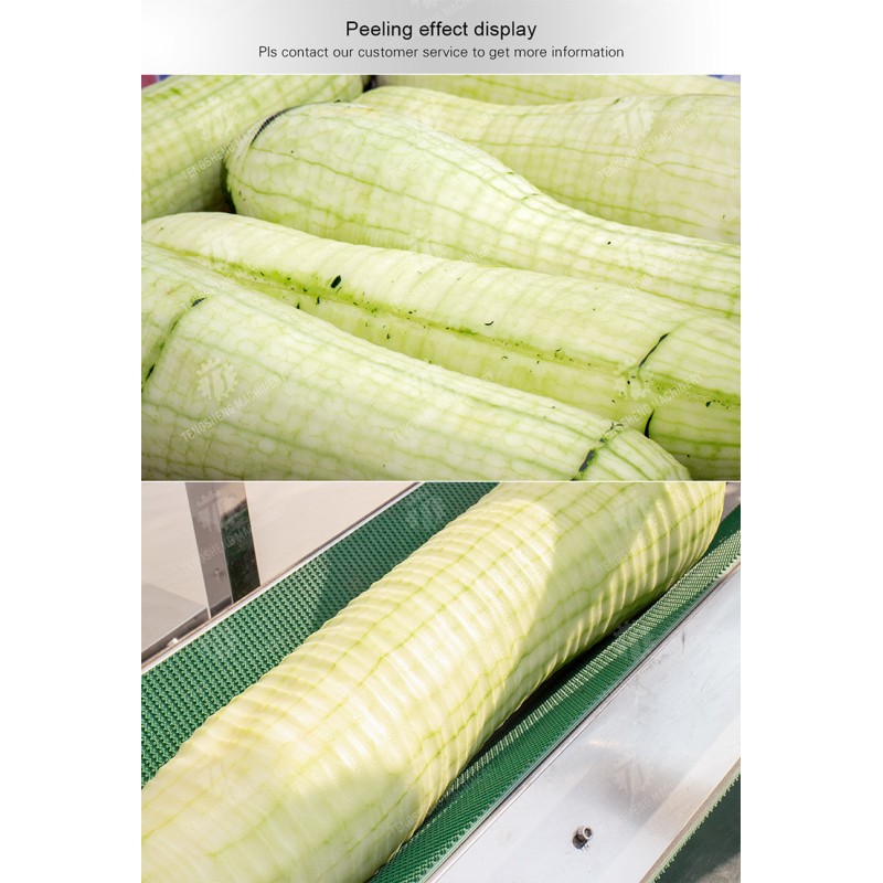 350KG 2.2KW Horizontal high efficiency stainless steel wax gourd peeling machine large output wax gourd peeling machine