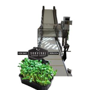 China 2024 Baby Leaf Lettuces From Trays Of Greenhouse Grown Microgreens Harvesting Machine wholesale