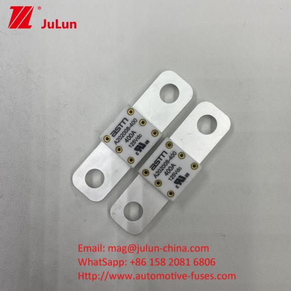 Powerful Automotive Battery Charger Fuse ASTM A202008 150A 125VD Batteries And