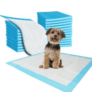 China High Absorbency Blue / White Disposable Pee Pads For Dogs wholesale