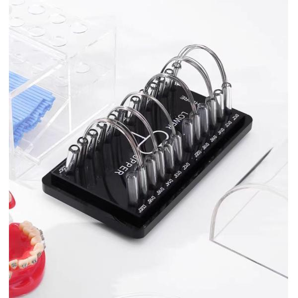 Orthodontic Arch Wire Display Box for Round and Rectangular Wires