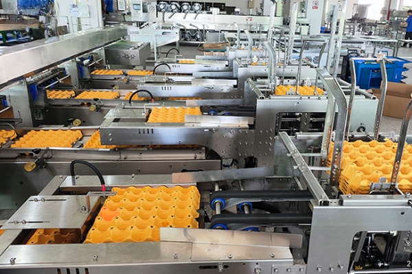 Egg Washing Grading Packing Machine Durable Large-Scale for Farm Processing Equipment