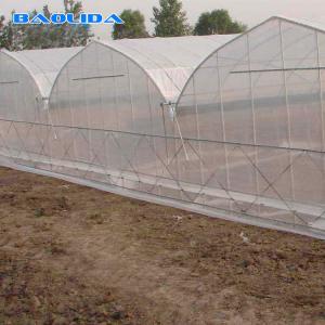 China Sunlight Plastic Film Greenhouse / Plastic Sheeting Rolls Greenhouse wholesale