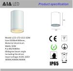 IP65 waterproof exterior cylinder DALI dimmable 50W COB LED down light&outdoor
