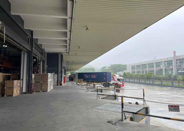 International Logistics HongKong Bonded Warehouse Palletization LCL Shipment