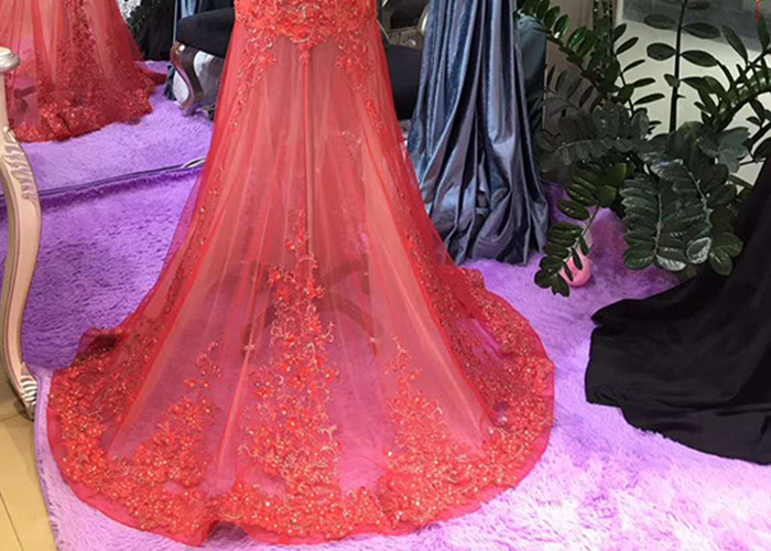 Long Tail Elegant Red Evening Gowns Beading Sleeveless Deep V Transparent Back