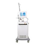 Effective Fractional CO2 Laser Machine For Vagin Rejuvenation And Skin Tag