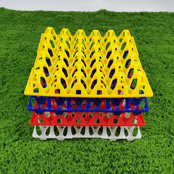Eco Friendly Egg Tray For Agricultural Egg Packing Red Yellow Blue White Colors