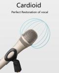 12mv/PA Dubbing Cardioid Dynamic Vocal Microphone For Acoustic Guitar