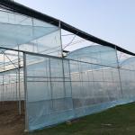 Single Layer Film Cover Greenhouse with Excellent Insulation and Pressure