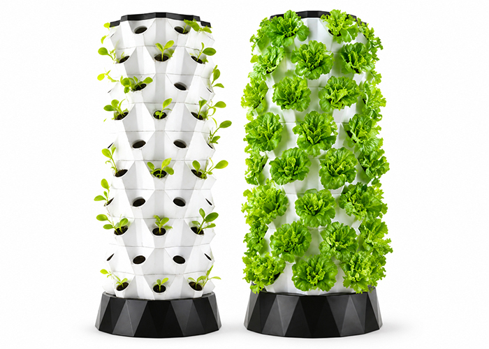 Pineapple Aeroponic Tower System | Modular Vertical Fruit Growing Kit