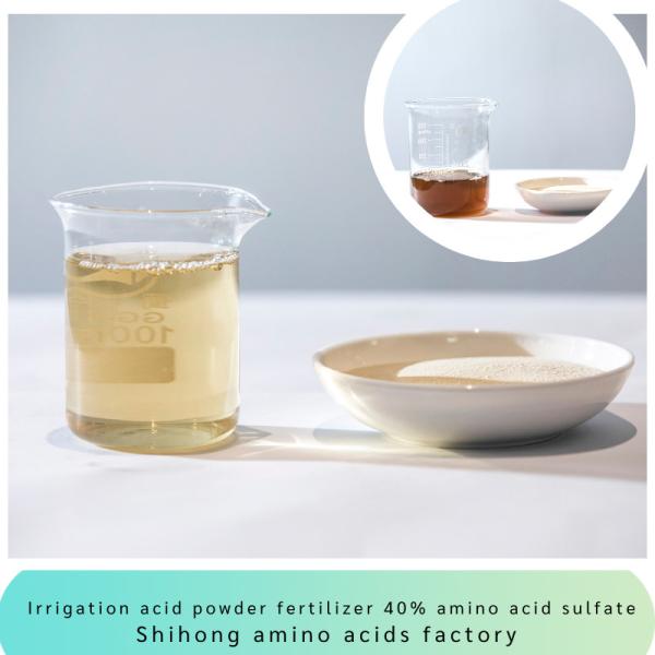 Irrigation Acid Powder Fertilizer Amino Acid 45% Sulfate Chloride Free for