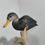 Waterproof Plastic Black Duck Silhouette Decoys for Hunting Custom Multiple