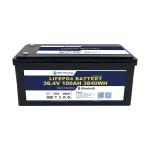 Powerful 36V LiFePO4 Battery with 100A Discharging Current for High Power Marine